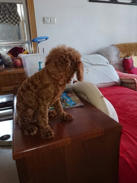 摩托车科目一考试是不是摩托车题库