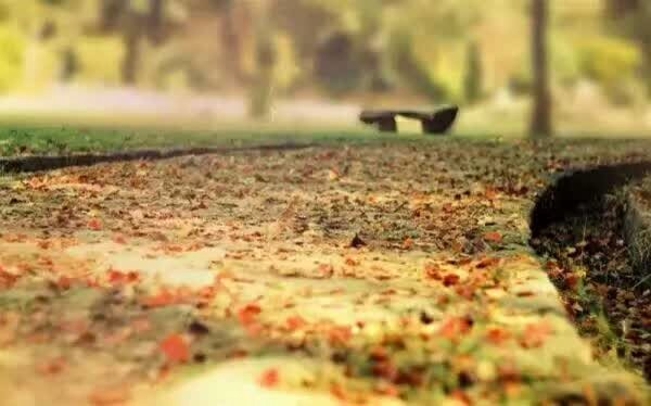 请问有人认识六合彩庄家或者收单的朋友吗?本