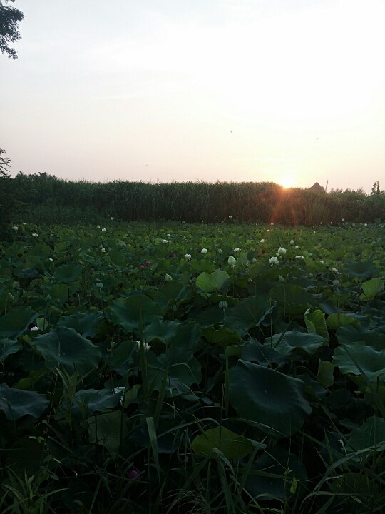 科三考试那些事…