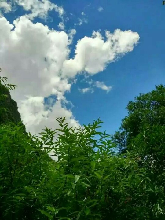 明天考科目四好紧张