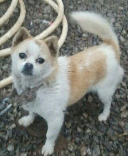 世界未日【驾考社区】