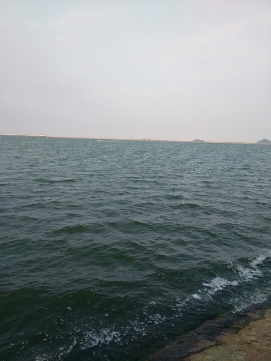 手机里考的科目一,是不是和驾校考的科目一都