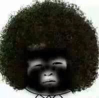 火烧眉毛了 啷个办明天 还要考科三 我要变马路杀手了 好紧张【驾考社区】