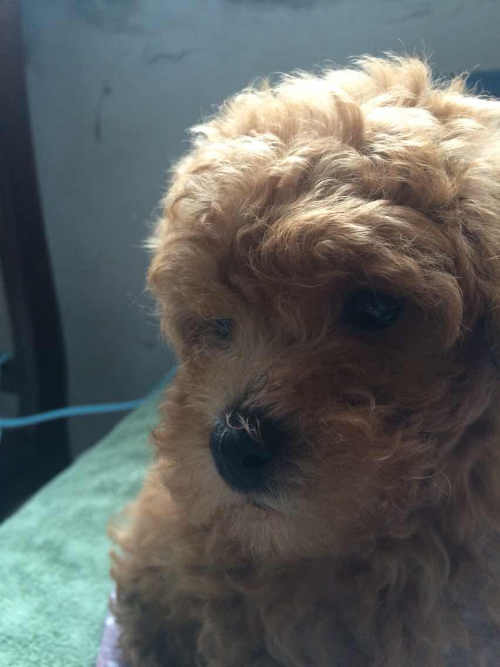 科目一,好难,最讨厌学了