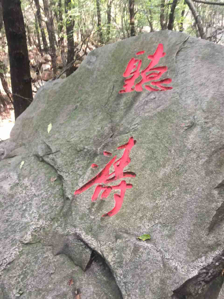 科目一考不去怎么办呀,愁死宝宝了!