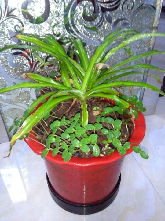 科三补考【驾考社区】