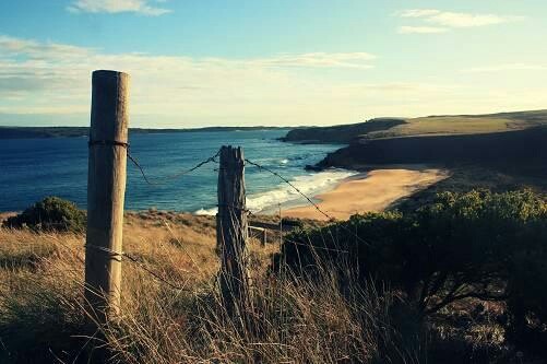 科三掉头压线了,亏死了