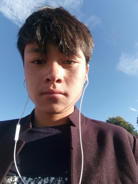 请问一下在手机上能查询科目一的成绩吗?