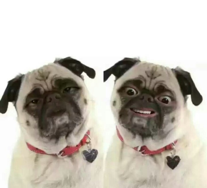 做题做的脑袋疼,还眼花缭乱的。科一咋办啊。