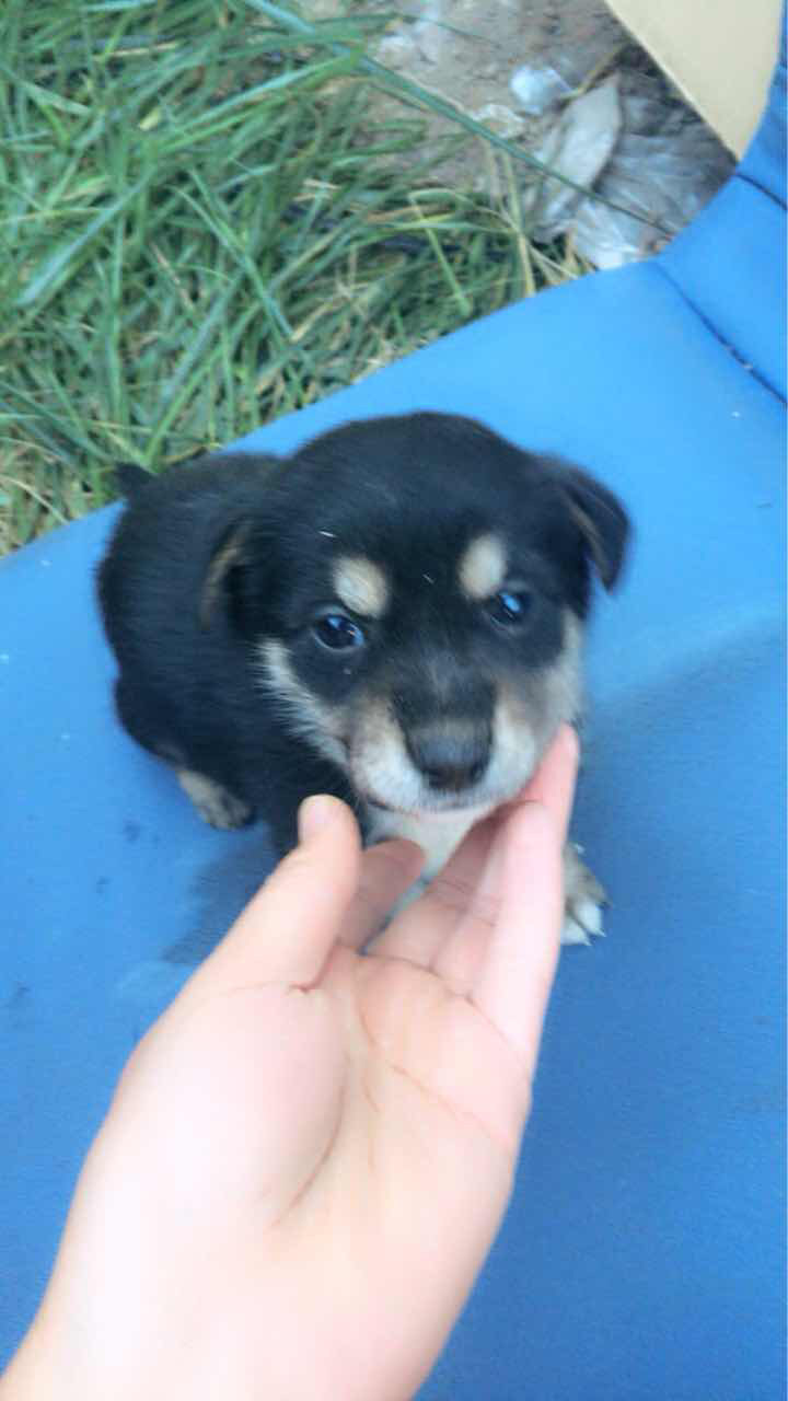 科目三练车多久可以报名考试啊-驾考论坛【驾