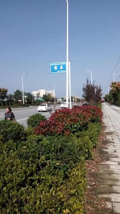 科三考试,没打转向,瞎停!最后报考试合格!-驾考