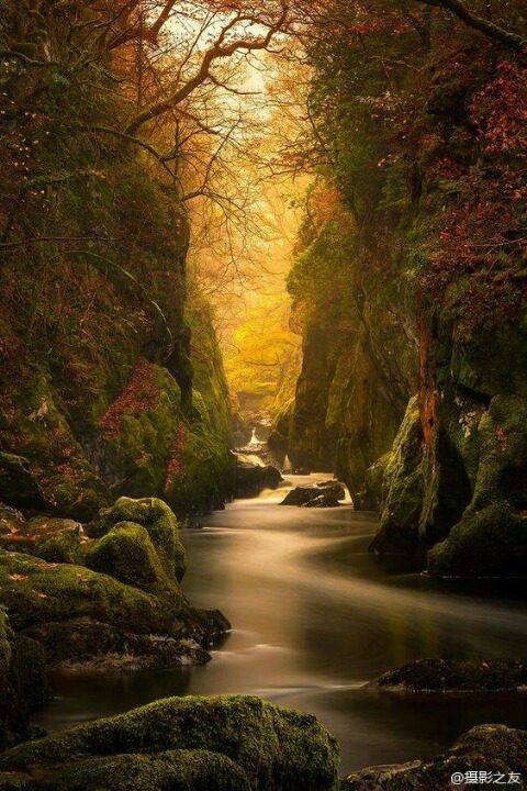 有没有浙江绍兴的请教一下-驾考论坛