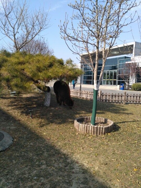 我们东方时尚驾校的教学环境。很美的