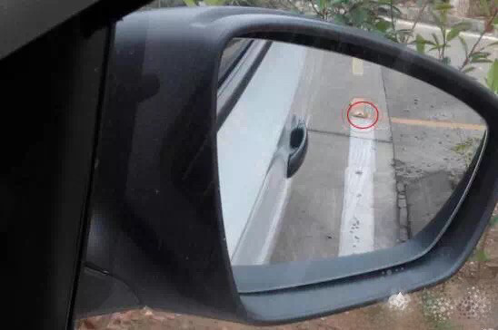 侧位停车那个边线怎么找呀不会呀