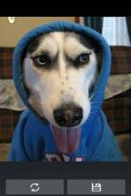 第一天学车-驾考论坛