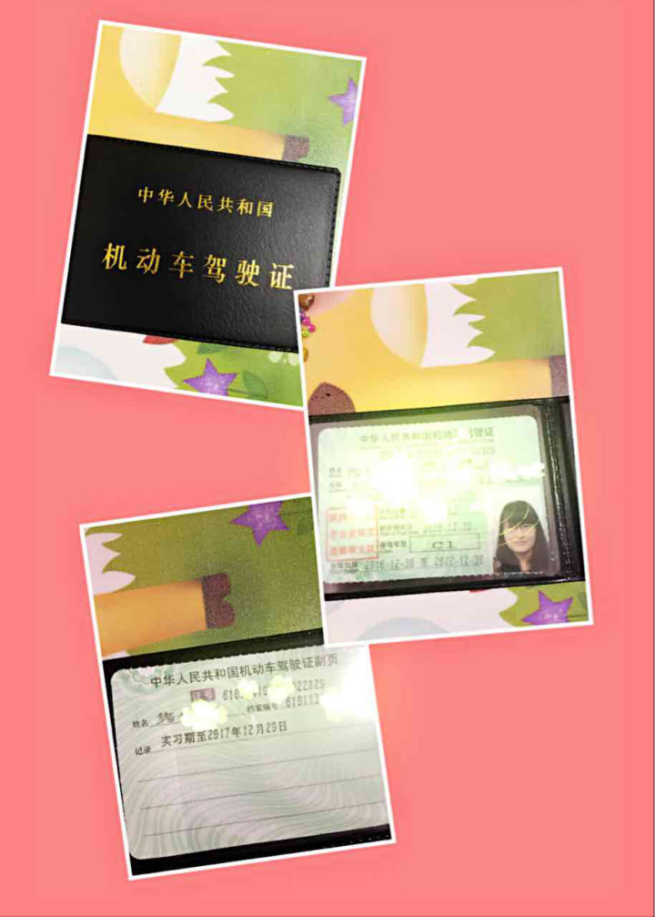 我正在进行“拿到驾照啦!”
