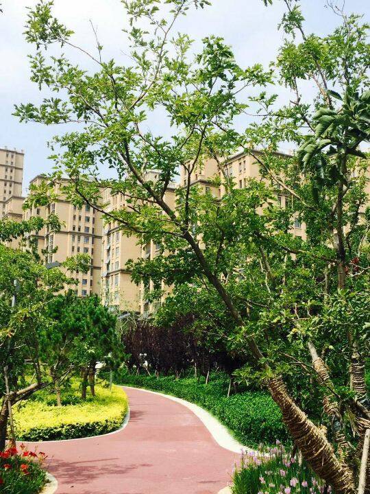 有正大驾校的朋友吗?做伴一起练车-驾考论坛【