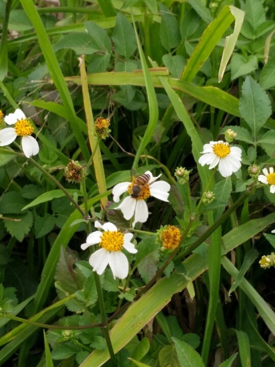 宁波摩托车科目四考试_宁波驾驶员模拟考试_