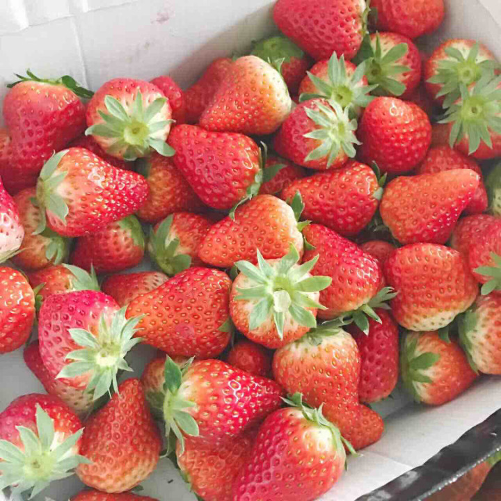 感谢驾考宝典~希望科二到科四通通百分百 怀挺