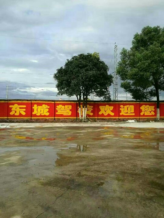 宾阳县黎塘镇东城驾校欢迎您!