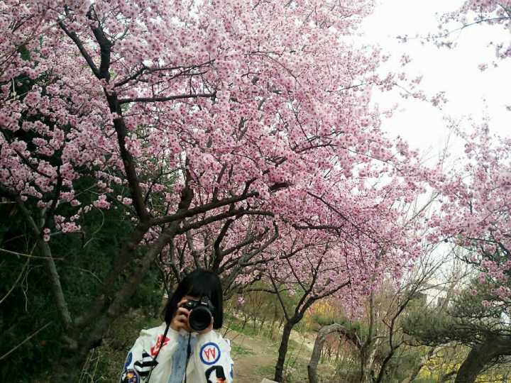 科目三预约-驾考论坛