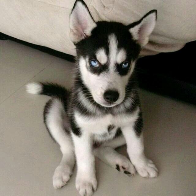 !驾考过期重新换驾校报考需要去注销原来的档