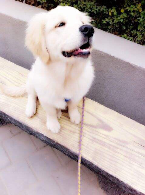 查询驾驶证违规 下载哪个软件比较好-驾考论坛