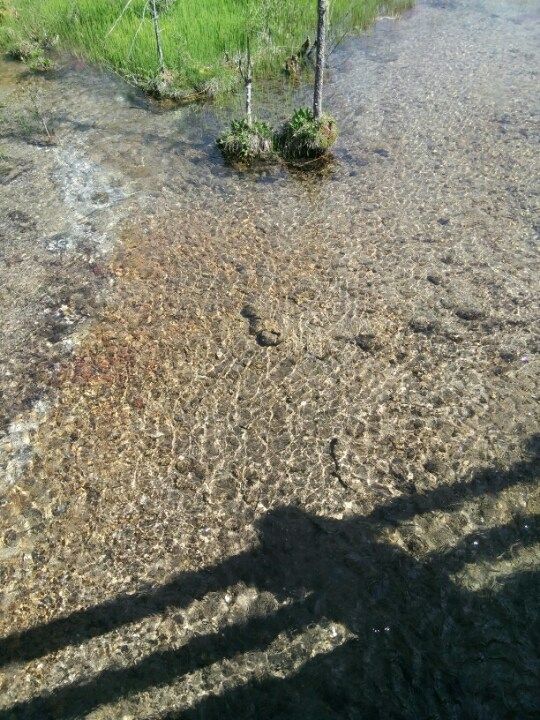 预约科一成功不成功怎么看-驾考论坛