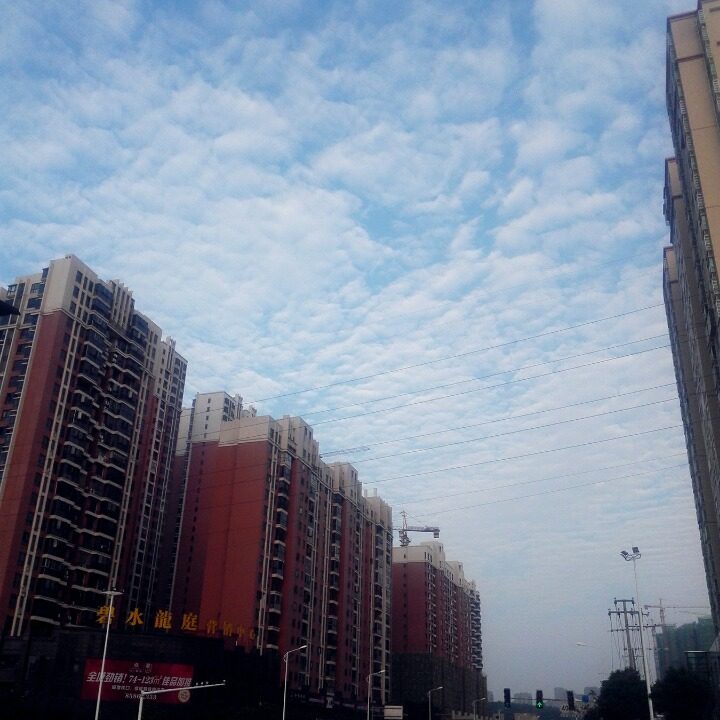 5月26考试尽力而为-驾考论坛