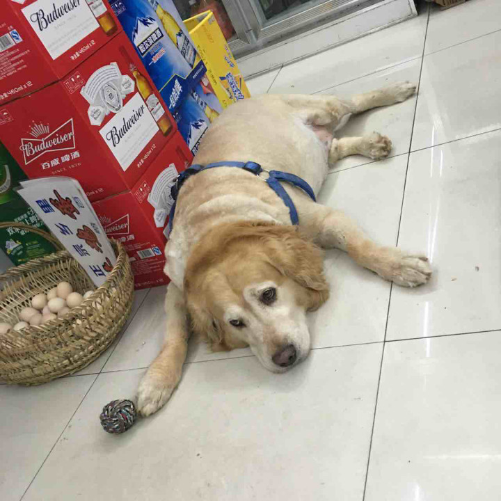 科三考试顺利通过后的总结?(青竹湖第二考试中