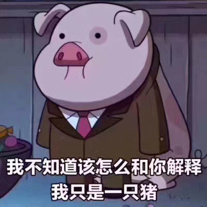 补考科二100分