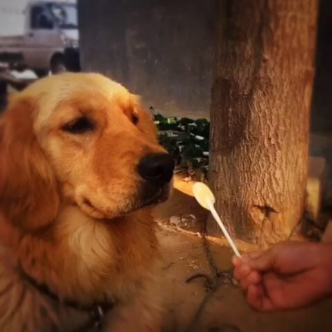 货运资格证的科二科三考什么