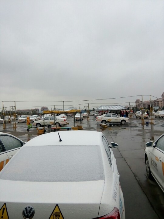 自己编写的科二科三考试细节