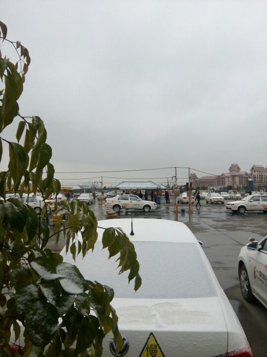 自己编写的科二科三考试细节