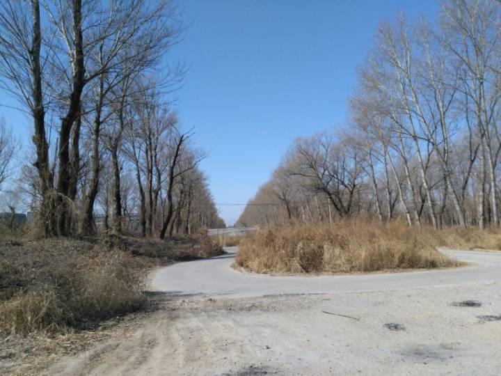 网上预约考试科目一,受理中,是不是得等啊?谢