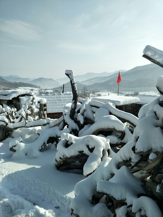 科一是不是网上预约考试的?