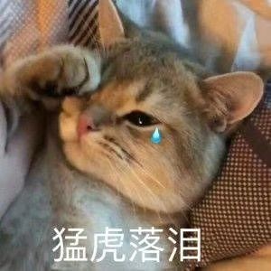 科目一预约怎么老是失败,有没有什么提高成功