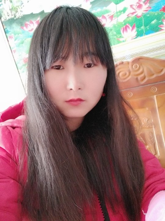驻马店平舆县