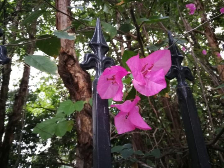 科三自动挡要注意什么