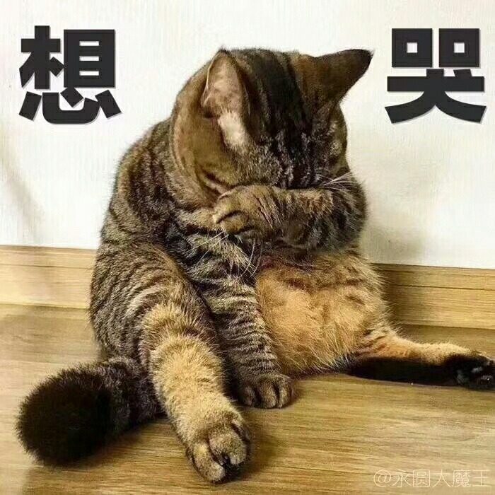 脑子里一头雾水啊!