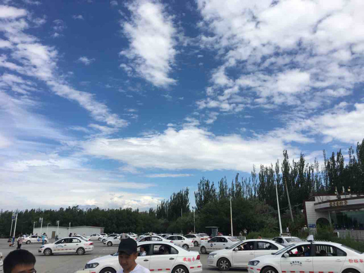 心累!科二考两次挂两次!