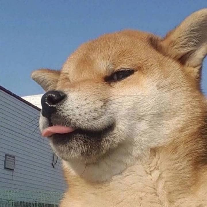 驾照没考完,可以在异地续考么?