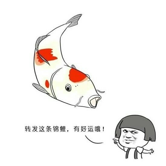 考过科三 希望自己可以考过科三 重要的事情说三遍 老天保佑老天保佑