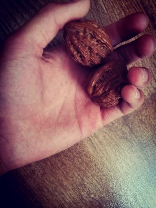 报考驾照必须满十八周岁吗?