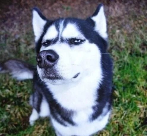 预约科目一第二场次大概是什么时间 预约的时