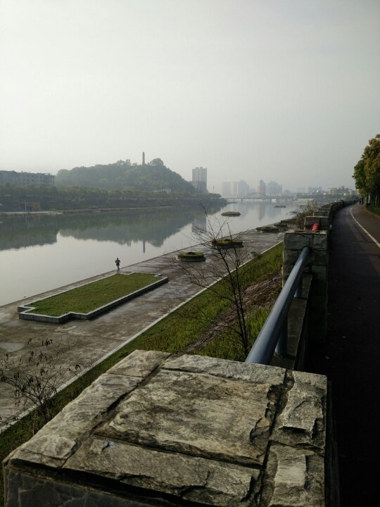 今天第一天学科目二