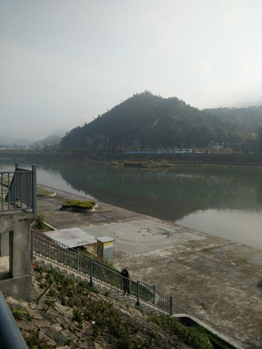 今天第一天学科目二