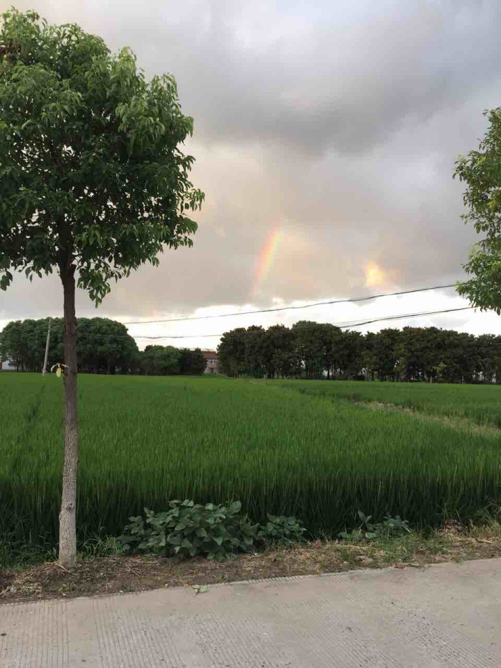 科目四咋这么难啊,就这么一关拉能不能让我过