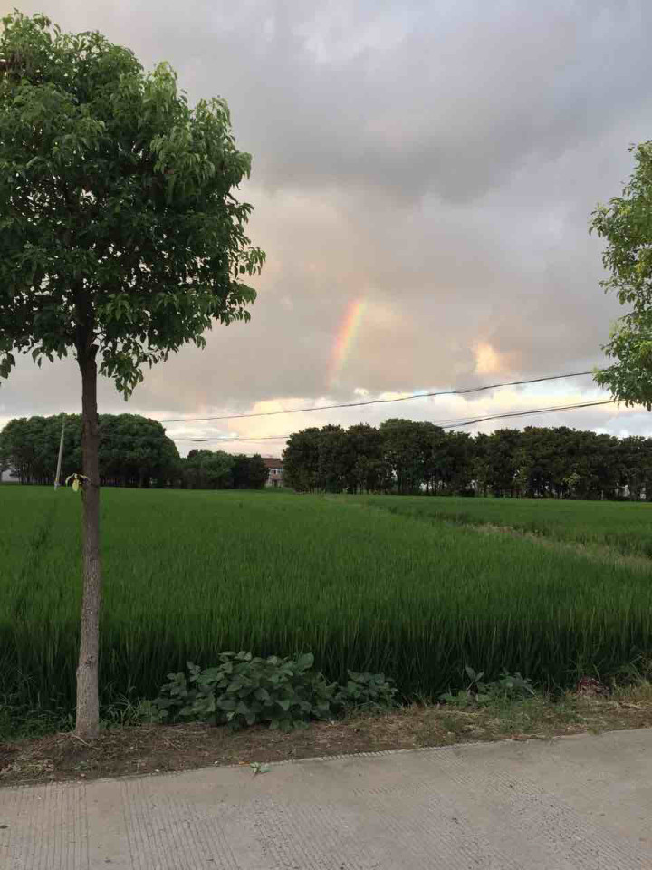 科目四咋这么难啊,就这么一关拉能不能让我过