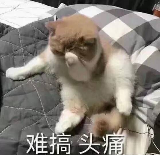 大安驾校学车咨询_大安驾校学车问答_大安驾